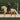 Avoke Helix Dressage