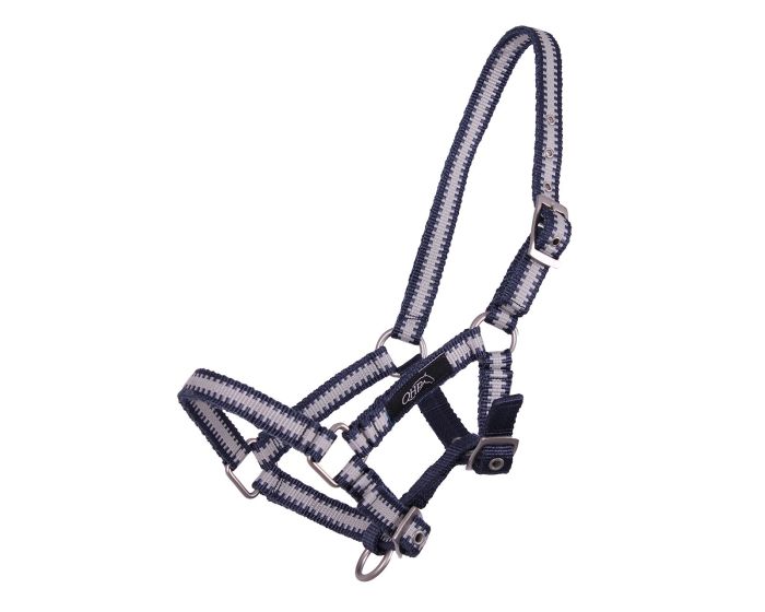 Kolekcja źrebiąt QHP Halter main product photo