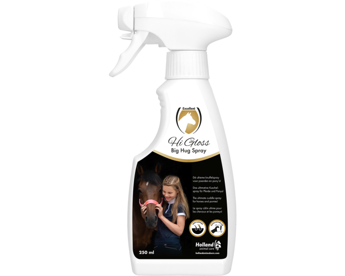 Excellent Hi Gloss spray "Big Hug" main product photo