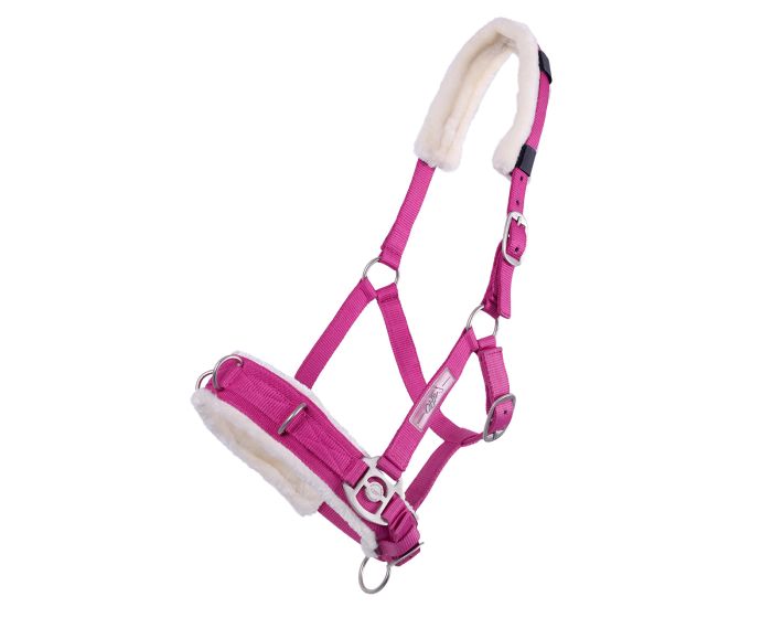 QHP Cavesson main product photo