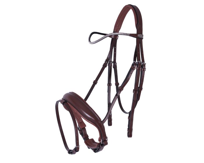 QHP Bridle Odin main product photo