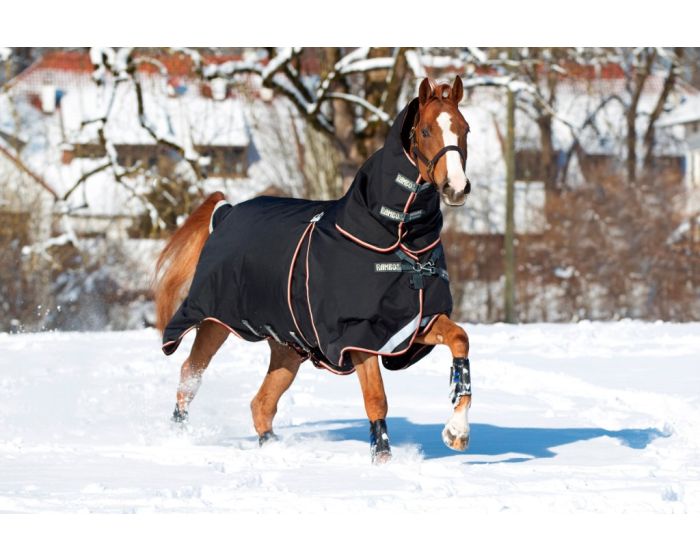 Horseware Rambo Optimo Turnout 0G Outer & 150GHood, 400G Liner main product photo