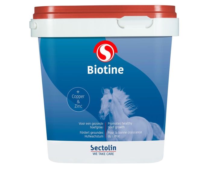 Sectolin Biotyna main product photo