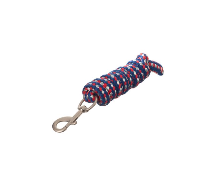 BR 4-EH Lead with Carabine hook main product photo