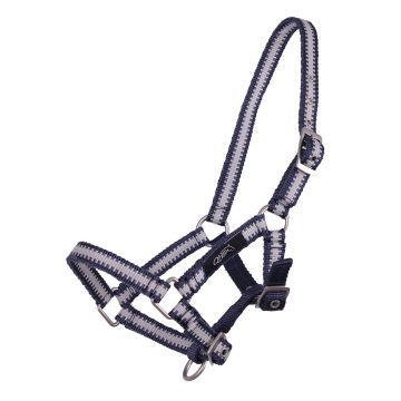 Kolekcja źrebiąt QHP Halter