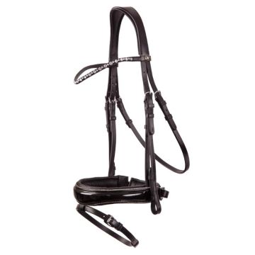 BR Bridle Bristol