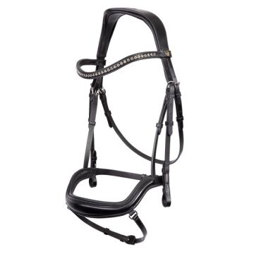 BR Bridle Stanley