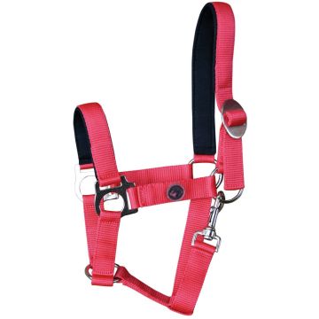 Harry's Horse Halter bridoonded Full Czerwony