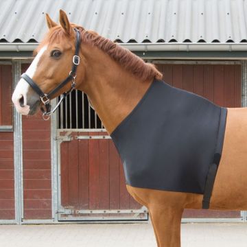 Harry's Horse Lycra na klatkę piersiową L czarny