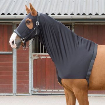 Harry's Horse Lycra na klatkę piersiową / kaptur XL czarny