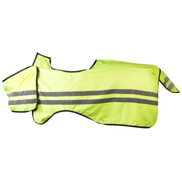 horka ĆWICZENIA MIOTŁA FLUO REFLECTION DE LUXE