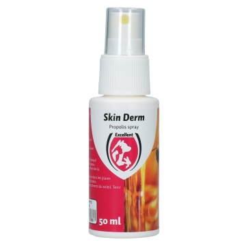 Excellent Skin Derm Propolis Spray