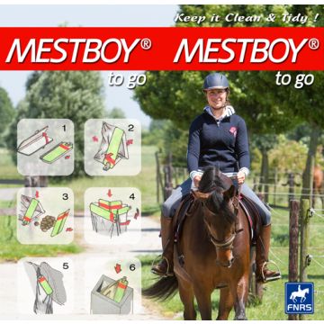 Harry's Horse Mestboy do Go