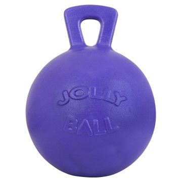 BR Zagraj w piłkę Jolly Ball 10 & quot; 25 cm Fioletowy