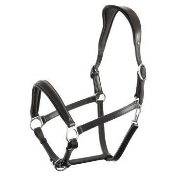 BR Anatomiczny hełm Halter Aberdeen