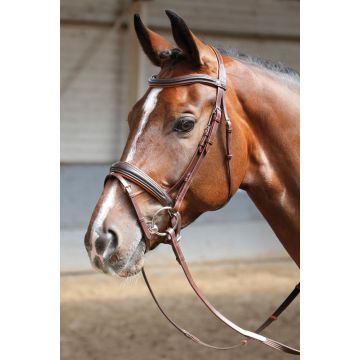 Harry's Horse Ogłowie miękkie Pony Brązowy