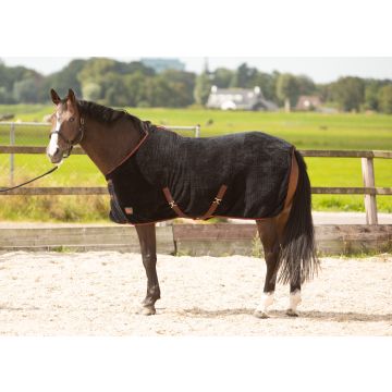 Harry's Horse Koc polarowy LouLou