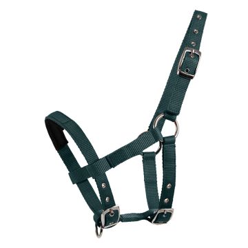 Waldhausen Mini Shetty halter