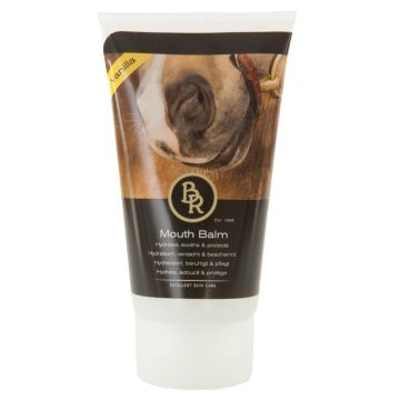 BR Balsam do ust Vanilla