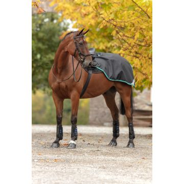 Horseware Amigo Competition Sheet