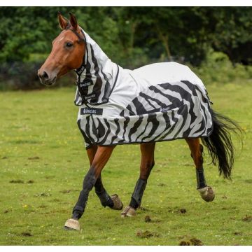 Bucas Zebra deszczowa Buzz-off