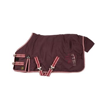 BR 4-EH Outdoor Rug 340gr Plum