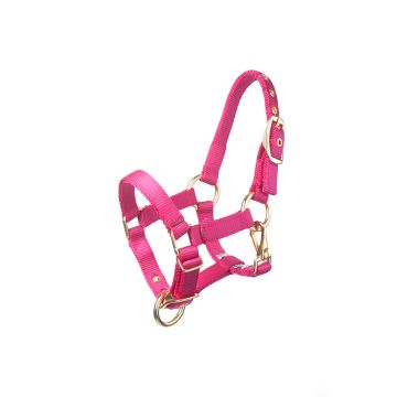 MHS Halter Fancy Pink Foal