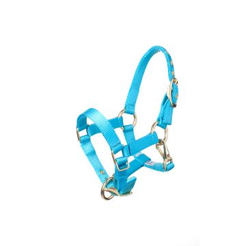 MHS Halter Fancy Aqua Yearling