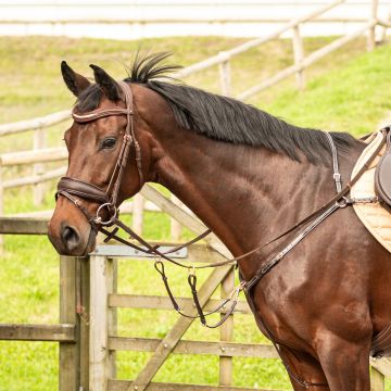 Harry's Horse Napierśnik w kolorze różowego złota