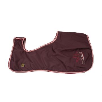BR 4-EH Exercise Rug with fleece lining