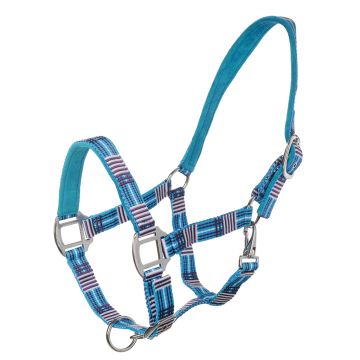 MHS Halter Check Aqua Pony