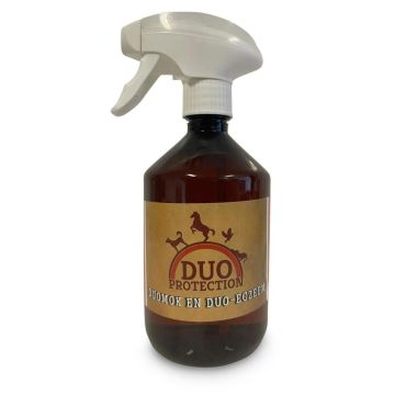 Sectolin Duo Mug i spray na egzemę