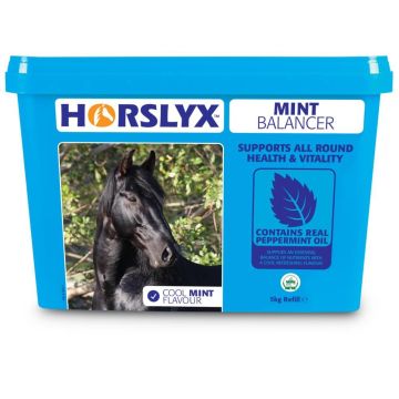 Horslyx Mint Balancer