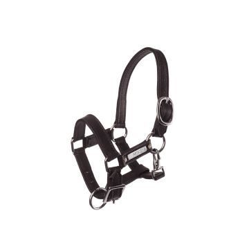 MHS Leather Halter Soft Baby Black
