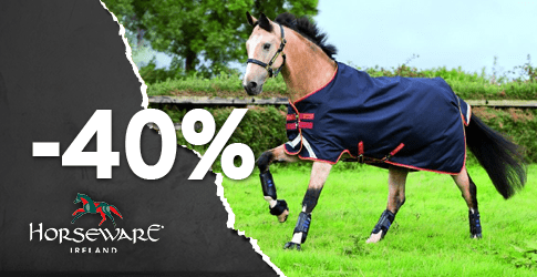 40% zniżki!