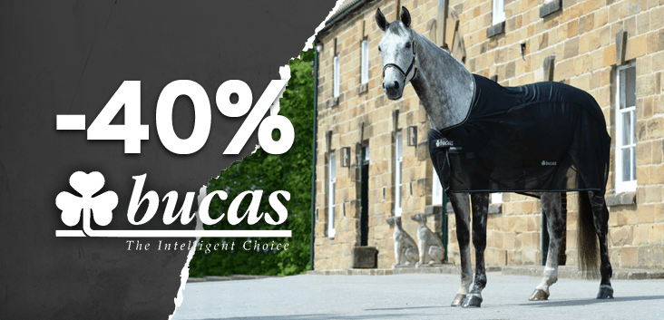 40% zniżki!